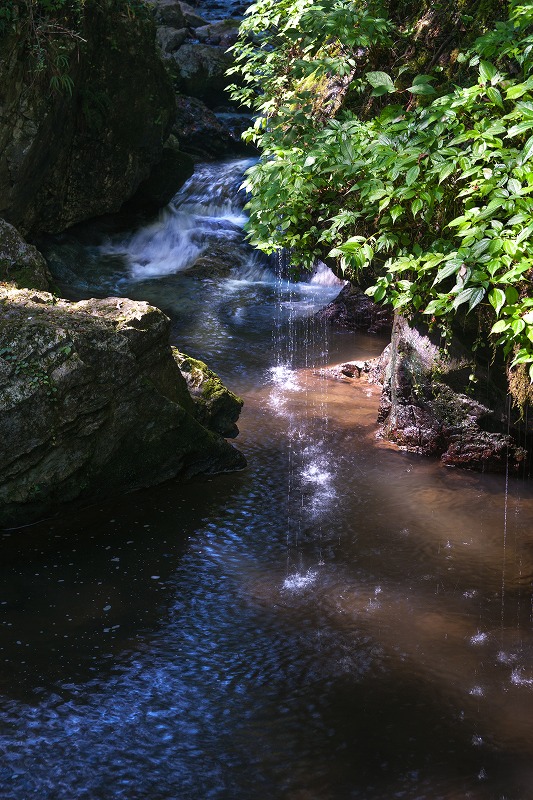 b0198768_16234769.jpg
