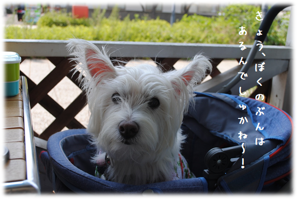 b0242873_1353060.png