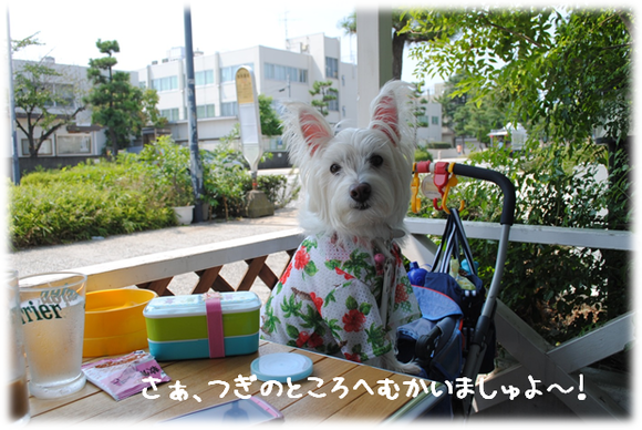b0242873_959035.png