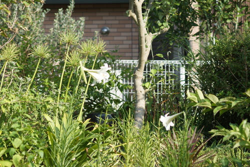 e0181373_21373811.jpg