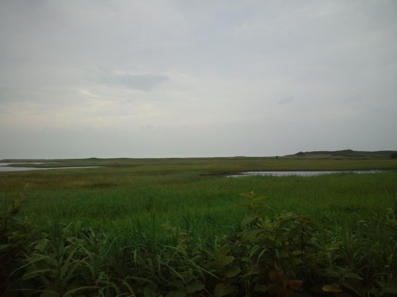 北海道一周挑戦!!_d0330986_11482661.jpg