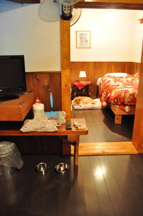 戸隠キャンプ2013④ ペンション「アリエスカ」_a0126590_22234386.jpg