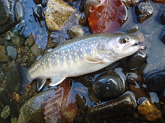 b0233990_9133825.jpg