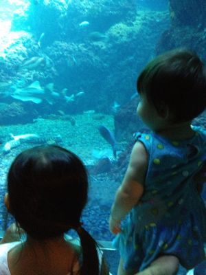 新江ノ島水族館_a0275993_1452384.jpg