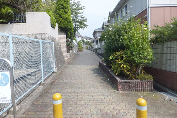 歩こう　並木のある道　29　美加の台4_b0212898_10361014.jpg