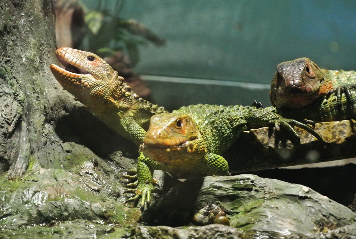 水族館にて_b0144301_3445280.jpg