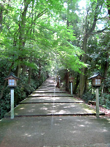 a0177205_17295076.jpg
