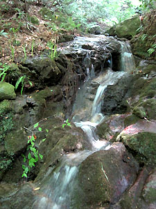 a0177205_17362077.jpg
