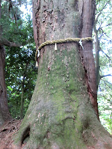 a0177205_17463046.jpg