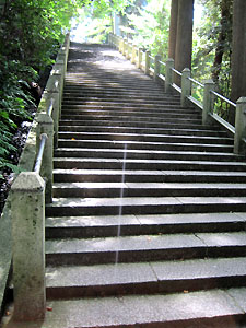 a0177205_17584178.jpg
