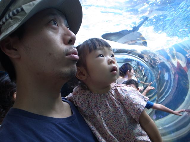 f0159406_0984.jpg
