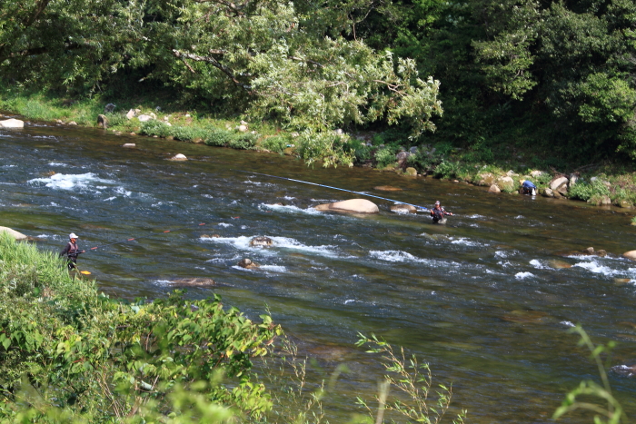 e0174008_1815557.jpg