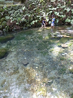 b0223711_9443847.jpg