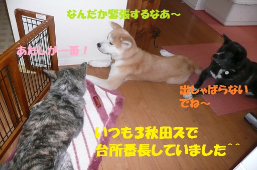 f0121712_17193057.jpg