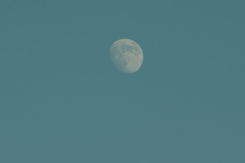 a0278914_5103231.jpg