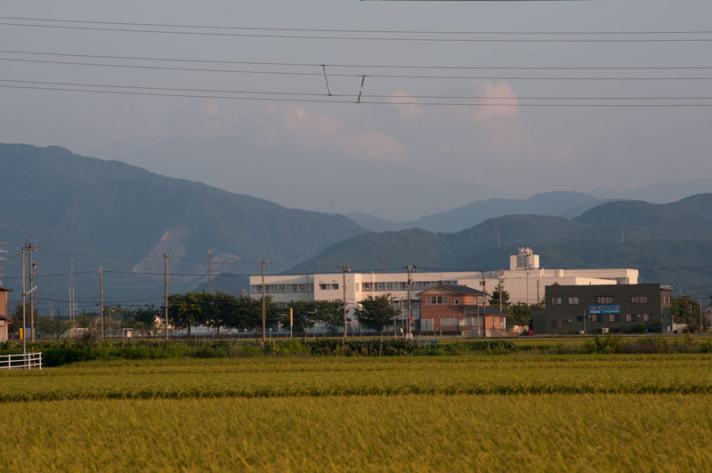 a0278914_510663.jpg