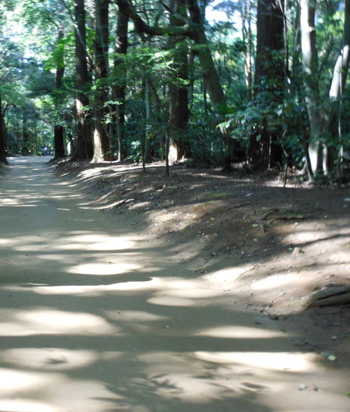 e0240925_1005461.jpg