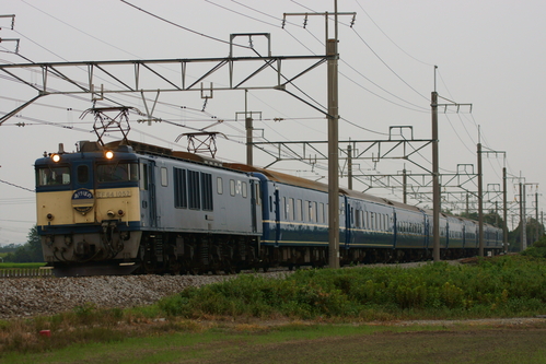 d0223231_17362859.jpg