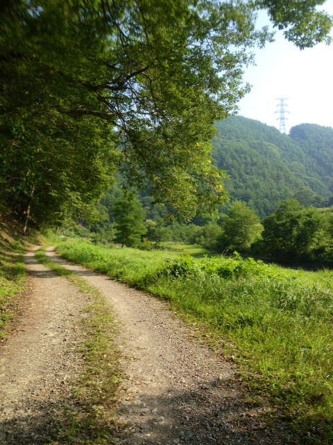 三峰川水系　Y川釣行　夏休み編_c0149633_2035240.jpg