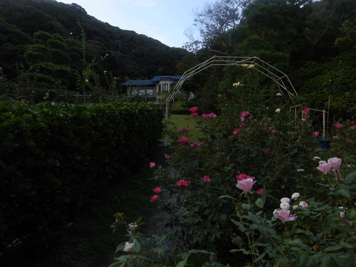 a0306235_1015939.jpg
