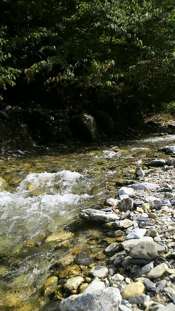 c0267235_22253057.jpg