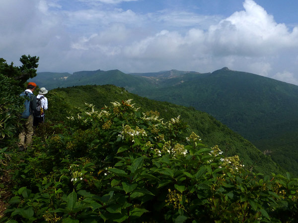 c0081645_15305062.jpg