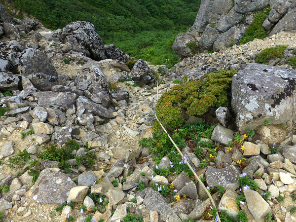 c0081645_1536937.jpg