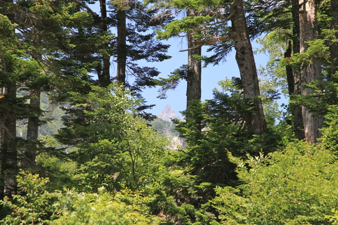 槍ヶ岳北鎌尾根登山　　その1_c0236857_8203352.jpg