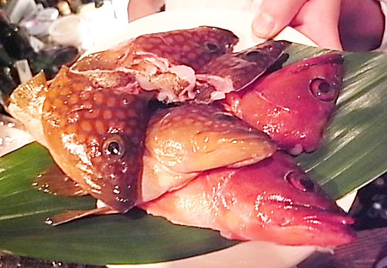 b0051666_81116.jpg