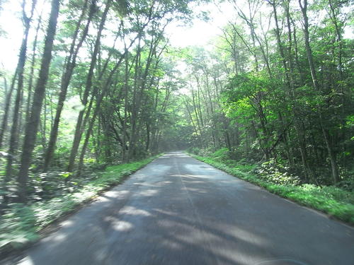 おら自転車で十和田湖一周して来ただ。_a0120372_2046696.jpg