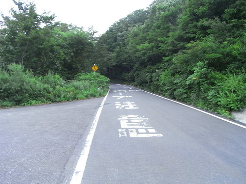 おら自転車で十和田湖一周して来ただ。_a0120372_21315510.jpg