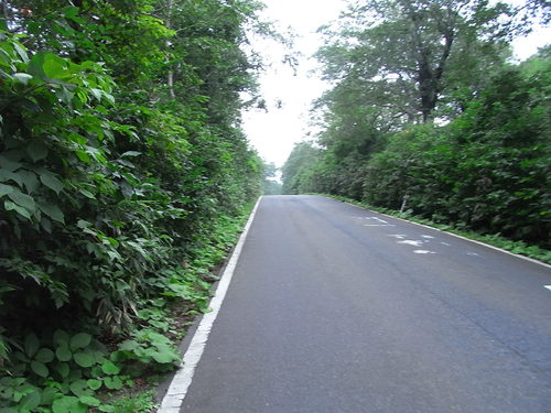 おら自転車で十和田湖一周して来ただ。_a0120372_21572193.jpg