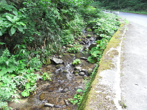 おら自転車で十和田湖一周して来ただ。_a0120372_2214065.jpg