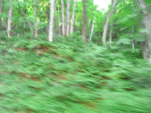 a0120372_2274485.jpg
