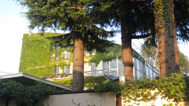 e0212073_2363892.jpg