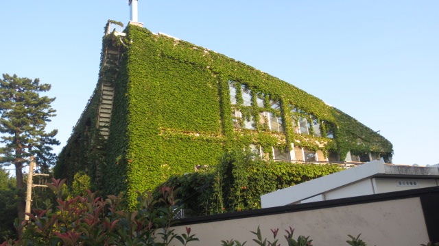 e0212073_236553.jpg