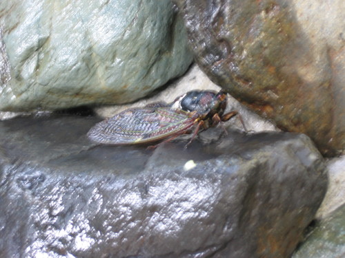 f0259373_16264745.jpg
