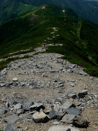 山の記録２０１３：爺ヶ岳（２６７０ｍ）その３_f0049074_22434289.jpg