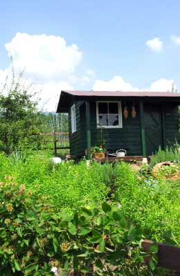 e0154682_232615100.jpg