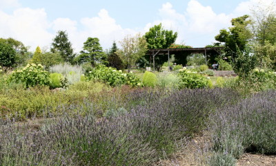 e0154682_23265784.jpg