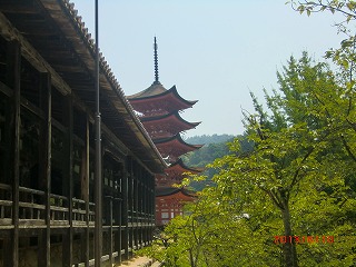 a0185783_12282468.jpg