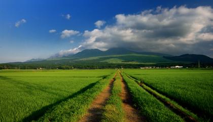 何年かぶりの阿蘇山....相変わらずのビッグスケール...._b0194185_21432795.jpg