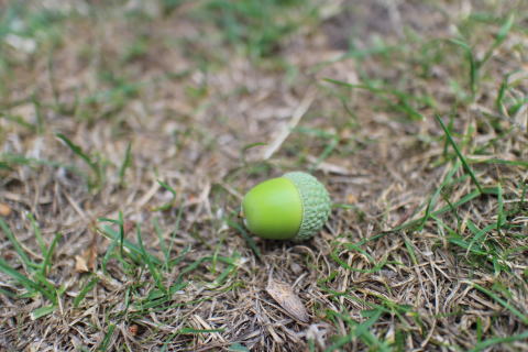 c0090198_454547.jpg