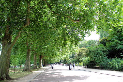 c0090198_525836.jpg
