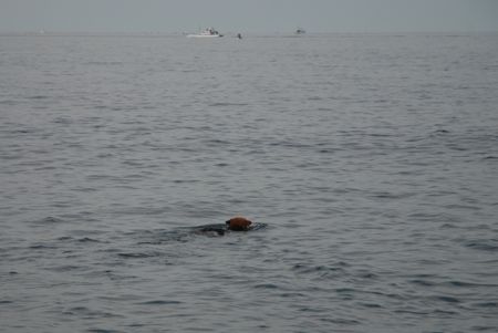 真夏の湘南で〜〜♪（その１、海遊び）_a0218499_1210890.jpg