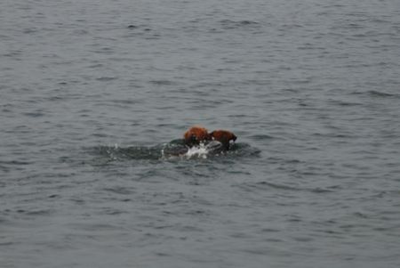 真夏の湘南で〜〜♪（その１、海遊び）_a0218499_12121156.jpg