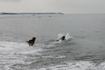 真夏の湘南で〜〜♪（その１、海遊び）_a0218499_1294014.jpg