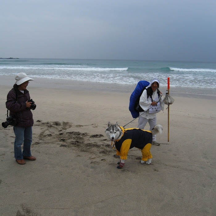 Memory of the second pilgrimage with husky HANA_c0049299_956071.jpg