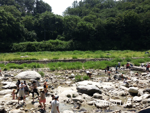 b0162000_8403818.gif