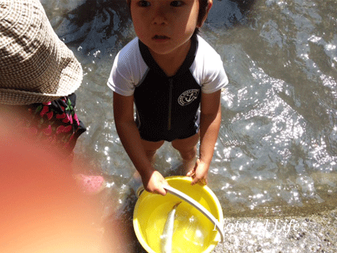 b0162000_8465284.gif